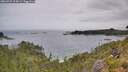 ./images/calvert/foggy-cove/20260729/foggy-cove20260729_115001M.jpg