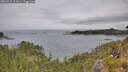 ./images/calvert/foggy-cove/20260729/foggy-cove20260729_121001M.jpg
