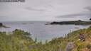 ./images/calvert/foggy-cove/20260729/foggy-cove20260729_122001M.jpg