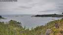 ./images/calvert/foggy-cove/20260729/foggy-cove20260729_122501M.jpg