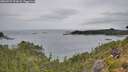 ./images/calvert/foggy-cove/20260729/foggy-cove20260729_123002M.jpg