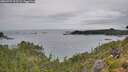 ./images/calvert/foggy-cove/20260729/foggy-cove20260729_123502M.jpg
