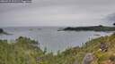 ./images/calvert/foggy-cove/20260729/foggy-cove20260729_125501M.jpg