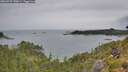 ./images/calvert/foggy-cove/20260729/foggy-cove20260729_130001M.jpg