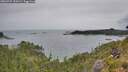 ./images/calvert/foggy-cove/20260729/foggy-cove20260729_130502M.jpg