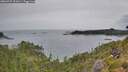 ./images/calvert/foggy-cove/20260729/foggy-cove20260729_131001M.jpg