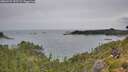 ./images/calvert/foggy-cove/20260729/foggy-cove20260729_132501M.jpg