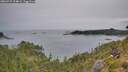 ./images/calvert/foggy-cove/20260729/foggy-cove20260729_134001M.jpg