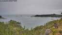 ./images/calvert/foggy-cove/20260729/foggy-cove20260729_134501M.jpg