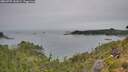 ./images/calvert/foggy-cove/20260729/foggy-cove20260729_141001M.jpg