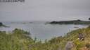 ./images/calvert/foggy-cove/20260729/foggy-cove20260729_142001M.jpg