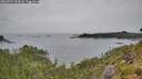 ./images/calvert/foggy-cove/20260729/foggy-cove20260729_144502M.jpg