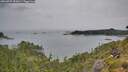./images/calvert/foggy-cove/20260729/foggy-cove20260729_151001M.jpg