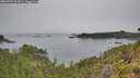 ./images/calvert/foggy-cove/20260729/foggy-cove20260729_163501M.jpg
