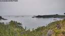 ./images/calvert/foggy-cove/20260729/foggy-cove20260729_170502M.jpg