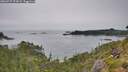 ./images/calvert/foggy-cove/20260729/foggy-cove20260729_172002M.jpg