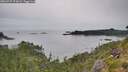 ./images/calvert/foggy-cove/20260729/foggy-cove20260729_173002M.jpg