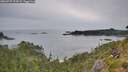 ./images/calvert/foggy-cove/20260729/foggy-cove20260729_174501M.jpg