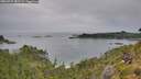 ./images/calvert/foggy-cove/20260729/foggy-cove20260729_181502M.jpg