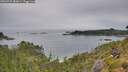 ./images/calvert/foggy-cove/20260729/foggy-cove20260729_183001M.jpg