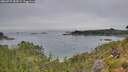 ./images/calvert/foggy-cove/20260729/foggy-cove20260729_184501M.jpg