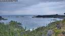 ./images/calvert/foggy-cove/20260730/foggy-cove20260730_061501M.jpg