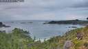 ./images/calvert/foggy-cove/20260730/foggy-cove20260730_062001M.jpg