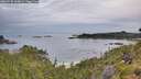 ./images/calvert/foggy-cove/20260730/foggy-cove20260730_065001M.jpg