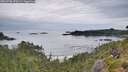 ./images/calvert/foggy-cove/20260730/foggy-cove20260730_070502M.jpg