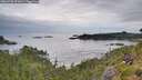 ./images/calvert/foggy-cove/20260730/foggy-cove20260730_071001M.jpg