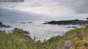 ./images/calvert/foggy-cove/20260730/foggy-cove20260730_071501M.jpg