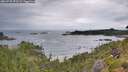 ./images/calvert/foggy-cove/20260730/foggy-cove20260730_073501M.jpg