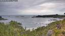 ./images/calvert/foggy-cove/20260730/foggy-cove20260730_074001M.jpg