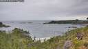 ./images/calvert/foggy-cove/20260730/foggy-cove20260730_081001M.jpg