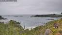 ./images/calvert/foggy-cove/20260730/foggy-cove20260730_081501M.jpg