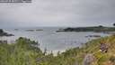 ./images/calvert/foggy-cove/20260730/foggy-cove20260730_082501M.jpg
