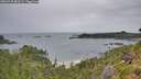 ./images/calvert/foggy-cove/20260730/foggy-cove20260730_083501M.jpg