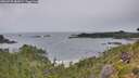 ./images/calvert/foggy-cove/20260730/foggy-cove20260730_085001M.jpg