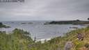 ./images/calvert/foggy-cove/20260730/foggy-cove20260730_090501M.jpg