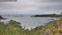 ./images/calvert/foggy-cove/20260730/foggy-cove20260730_091001M.jpg