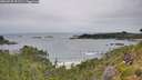 ./images/calvert/foggy-cove/20260730/foggy-cove20260730_091501M.jpg