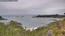 ./images/calvert/foggy-cove/20260730/foggy-cove20260730_092501M.jpg