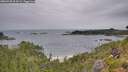 ./images/calvert/foggy-cove/20260730/foggy-cove20260730_094501M.jpg