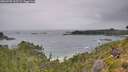 ./images/calvert/foggy-cove/20260730/foggy-cove20260730_102501M.jpg