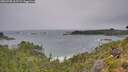 ./images/calvert/foggy-cove/20260730/foggy-cove20260730_103501M.jpg