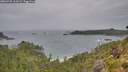./images/calvert/foggy-cove/20260730/foggy-cove20260730_110501M.jpg