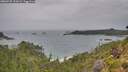 ./images/calvert/foggy-cove/20260730/foggy-cove20260730_111001M.jpg