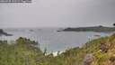 ./images/calvert/foggy-cove/20260730/foggy-cove20260730_112502M.jpg