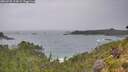 ./images/calvert/foggy-cove/20260730/foggy-cove20260730_113001M.jpg