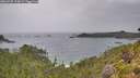 ./images/calvert/foggy-cove/20260730/foggy-cove20260730_114501M.jpg